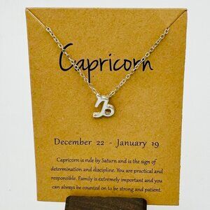 Silver Capricorn Necklace - NWT